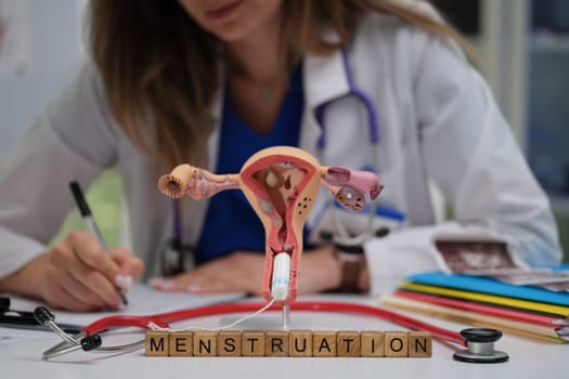 A skilled healthcare professional writing detailed notes along with a model that depicts the process of menstruation