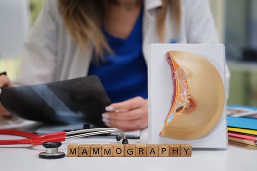 A healthcare professional examines mammogram results with a breast model to promote awareness and education