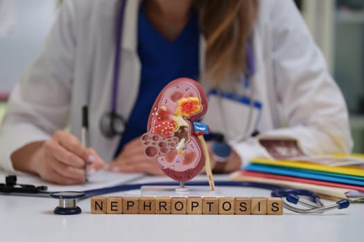 This detailed nephroptosis representation uses a 3D kidney model for improved medical education and training
