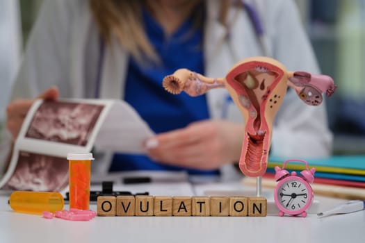 Delving into the topic of ovulation in women health, including the use of anatomical models and educational resources