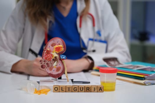 A healthcare professional reviews oliguria using a kidney model and urine analysis for better diagnosis