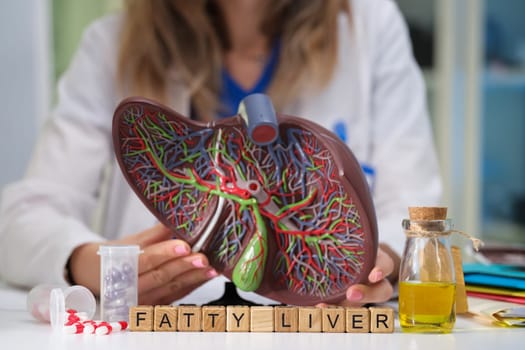 A medical professional explains fatty liver disease using a detailed anatomical model for better understanding