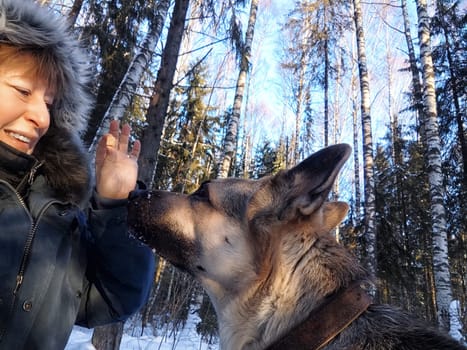 A middle-aged blonde woman takes a cheerful selfie with her German Shepherd dog during a winter excursion in the forest.