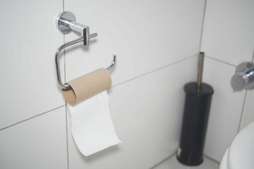 Restroom features a toilet paper holder with an empty tube and tissue.