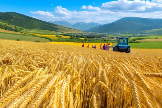 Wheat harvesting in a beautiful golden field with farmers working together. A tractor is used to assist, and the lush mountain landscape provides a stunning backdrop.