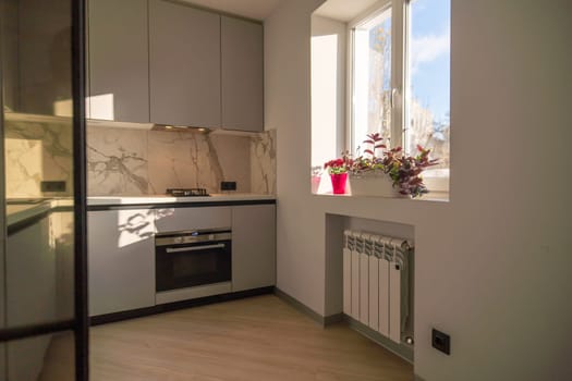 Modern kitchen with gray cabinets, marble backsplash, built-in oven, and hardwood floor. Sunlight streams through a window near a radiator and potted plants.