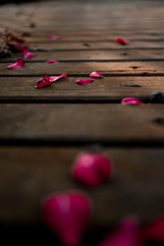 Rustic wooden pathway adorned with scattered pink camellia petals in natural light.