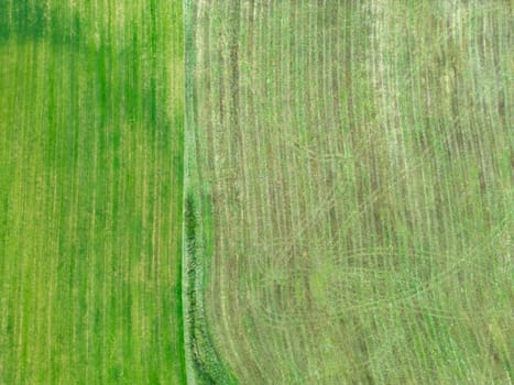 This image captures an aerial perspective of two contrasting agricultural fields, one vibrant green and the other dried. The visual highlights land usage and nature's beauty.
