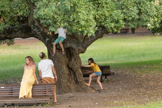 Family having fun on a summer day at the park, with children climbing trees and parents relaxing on benches