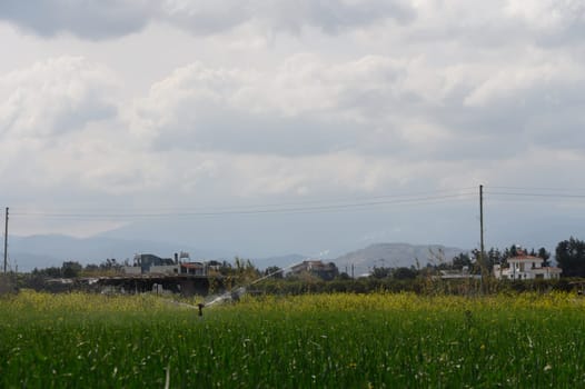 Irrigation system revitalizes vibrant fields while dark clouds loom over a peaceful rural setting.