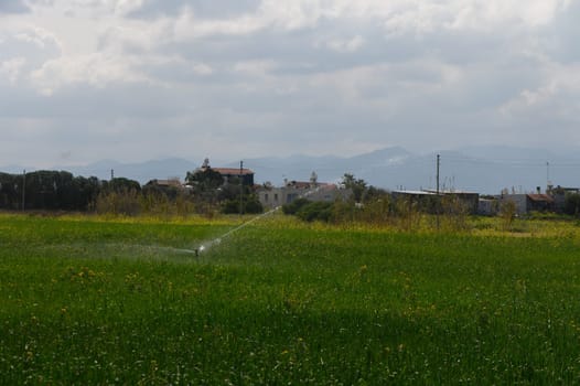 Irrigation systems nourish vibrant green fields, enhancing the landscape against a backdrop of distant mountains.