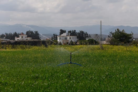 Watering the lush green field enhances growth while the distant mountains create a serene backdrop.