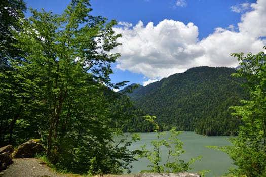Highland Lake Ritsa in an Abkhazia in June