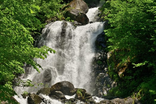 Milk waterfall in Gudauta region of an Abkhazia, Vodopadnaya river