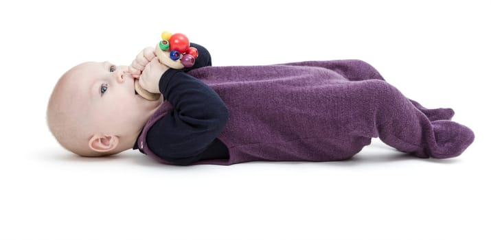 young child isolated on white background looking to camera