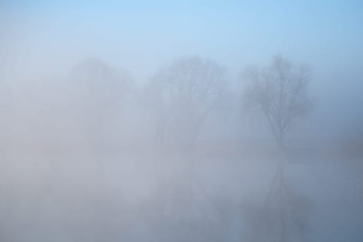 tall trees reflected on a foggy lake, beautiful textures, high humidity