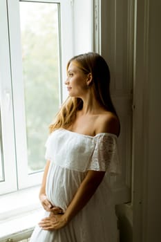 Pretty young pregnant woman standing by the window