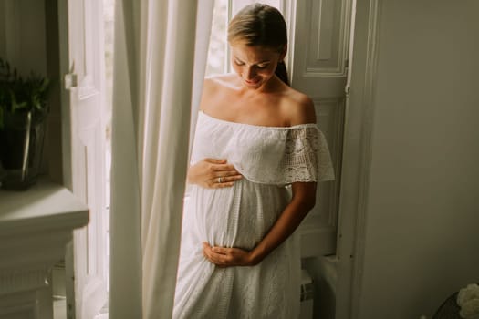 Pretty young pregnant woman standing by the window