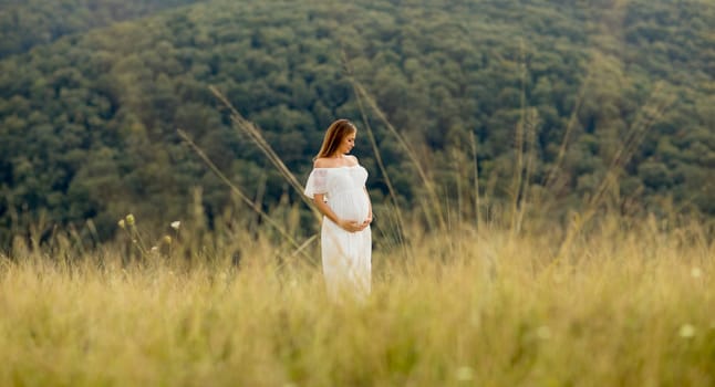 Young pregnant woman relaxing outside in nature at summer day