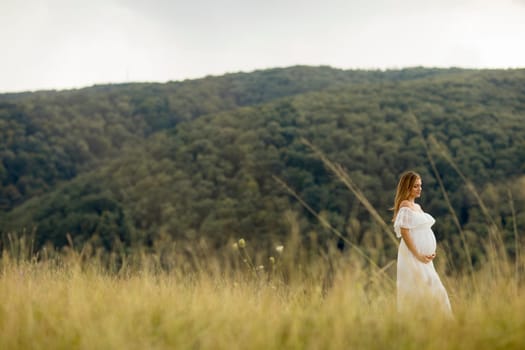 Young pregnant woman relaxing outside in nature at summer day