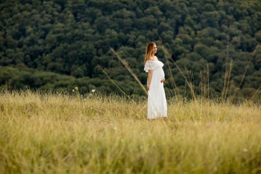 Young pregnant woman relaxing outside in nature at summer day