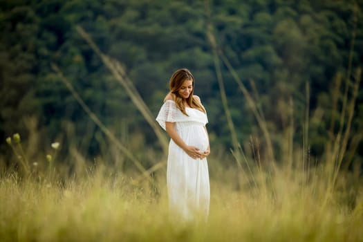Young pregnant woman relaxing outside in nature at summer day