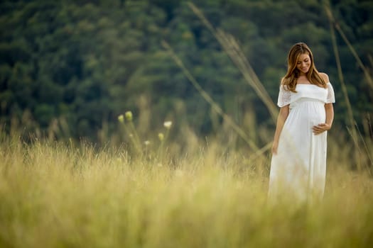 Young pregnant woman relaxing outside in nature at summer day