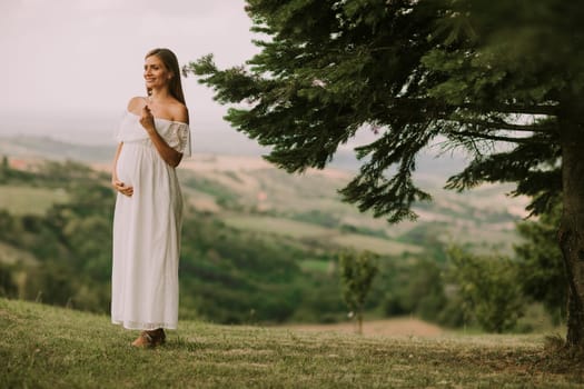 Young pregnant woman relaxing outside in nature at summer day