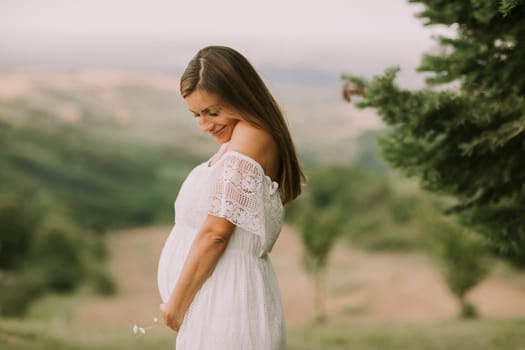 Young pregnant woman relaxing outside in nature at summer day