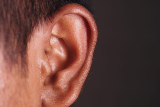 A detailed close-up of a human ear showcasing skin texture and shape.