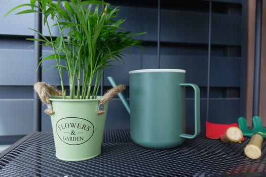A vibrant green plant rests in a decorative pot beside a watering can.