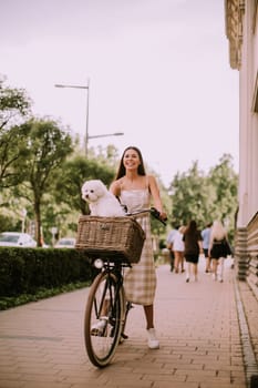 Pretty young woman with a bichon dog in a bicycle basket takes a leisurely ride
