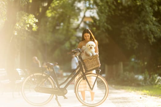 Pretty young woman with white bichon frise dog in the basket of electric bike