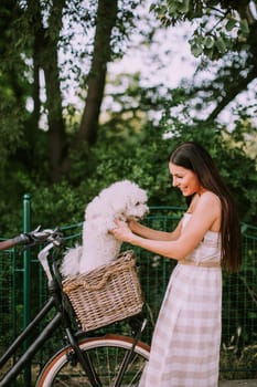 Pretty young woman putting white bichon frise dog in the basket of electric bike