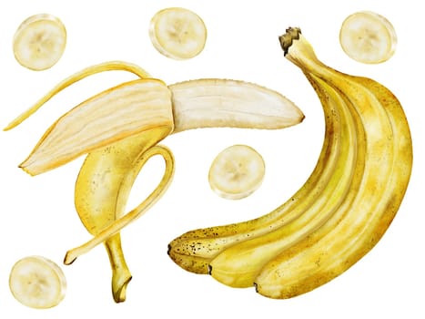 Banana set watercolor. Hand drawn ripe tropical fruit. Clip art isolated on white background realistic exotic plant. Ideal for designing menus, price tags, labels and packaging of natural cosmetics. High quality photo