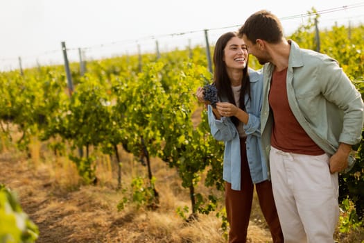 Under the warm afternoon sun, a couple strolls through a vineyard, joyfully sharing a moment as they admire a bunch of freshly picked grapes together in a peaceful landscape