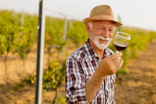 The caretaker holds a glass of deep red wine, smiling as he stands among rows of grapevines, illuminated by the soft glow of the setting sun