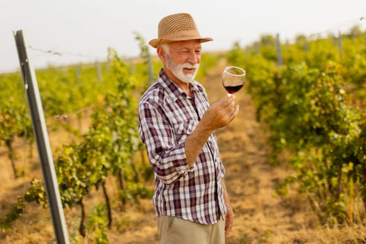 The caretaker holds a glass of deep red wine, smiling as he stands among rows of grapevines, illuminated by the soft glow of the setting sun
