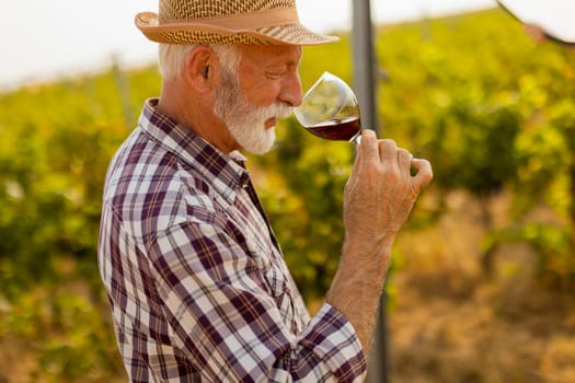 In the golden glow of sunset, an elderly man in a straw hat enjoys a glass of red wine, immersed in the tranquil beauty of his sprawling vineyard, reflecting on the harvest