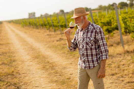 In the golden glow of sunset, an elderly man in a straw hat enjoys a glass of red wine, immersed in the tranquil beauty of his sprawling vineyard, reflecting on the harvest