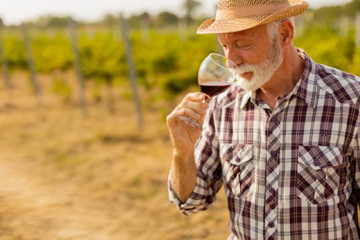 In the golden glow of sunset, an elderly man in a straw hat enjoys a glass of red wine, immersed in the tranquil beauty of his sprawling vineyard, reflecting on the harvest