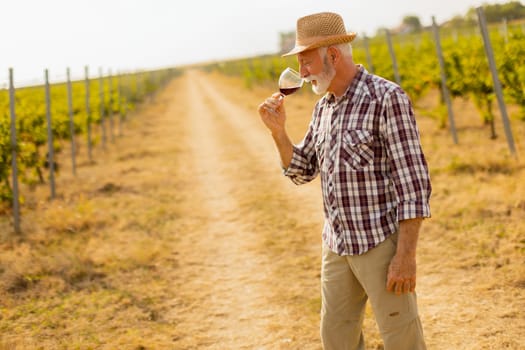 In the golden glow of sunset, an elderly man in a straw hat enjoys a glass of red wine, immersed in the tranquil beauty of his sprawling vineyard, reflecting on the harvest