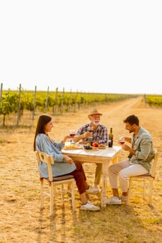 Amidst rows of lush vines, three friends enjoy a delightful afternoon, savoring wine and conversation, surrounded by the beauty of nature’s harvest