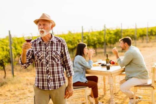 Under the warm glow of sunset, a smiling gentleman raises a glass of red wine, surrounded by friends savoring delightful moments amidst lush vineyards and shared stories