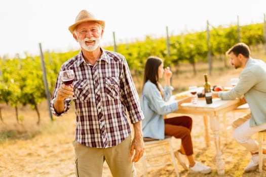 Under the warm glow of sunset, a smiling gentleman raises a glass of red wine, surrounded by friends savoring delightful moments amidst lush vineyards and shared stories