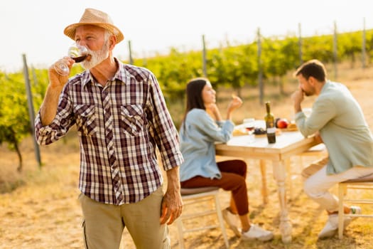 Amidst rows of lush vines, three friends enjoy a delightful afternoon, savoring wine and conversation, surrounded by the beauty of nature’s harvest