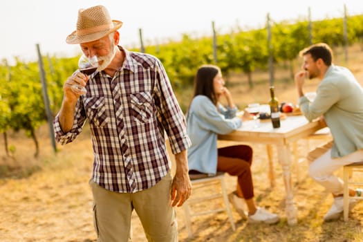 Amidst rows of lush vines, three friends enjoy a delightful afternoon, savoring wine and conversation, surrounded by the beauty of nature’s harvest