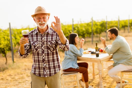Cheerful older man raises a glass of red wine, signaling approval while friends share a meal at a rustic table amid lush grapevines under a warm sunset