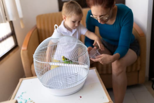 Mother and son preparing food for their pet budgie inside a white cage at home