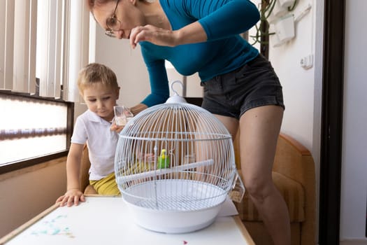 Mother and son taking care of their pet parrot, feeding it and changing its water